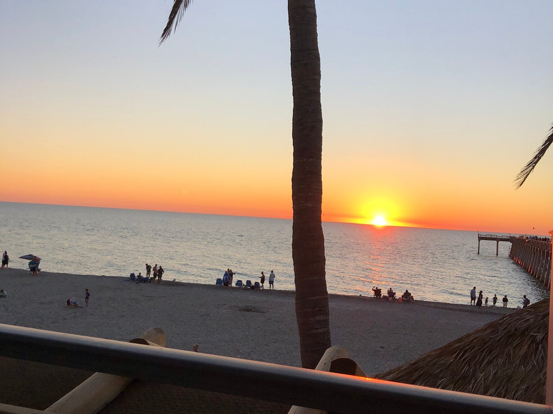 Sharky’s On The Pier-威尼斯必去景点