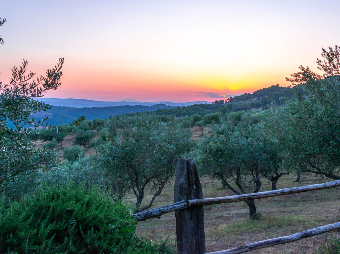 Agriturismo La Ghirlanda主图