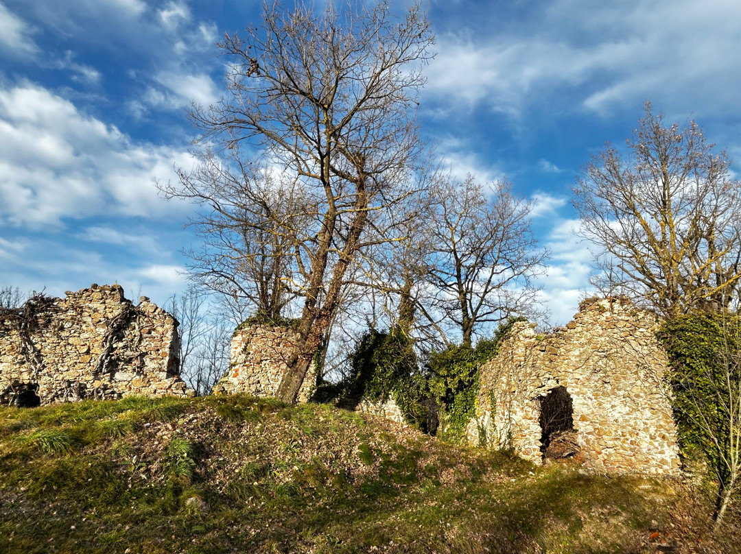 Castello degli Aleramo景点图片