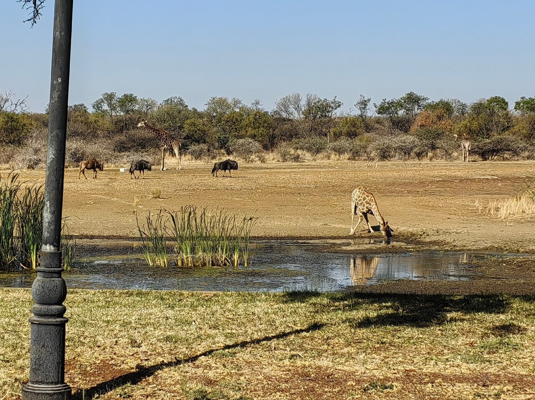 哈曼斯克拉尔酒店住宿-Mela Luxury Game Lodge