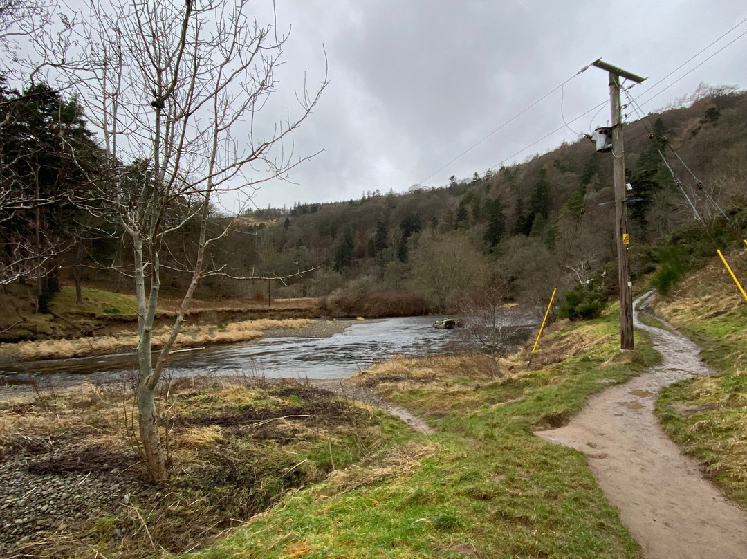 Tweed Valley Blogger | TVB Tours