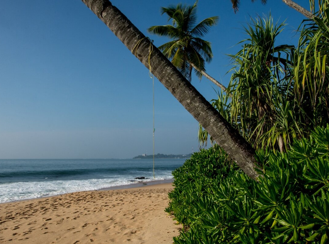 Cinnabar Resort主图