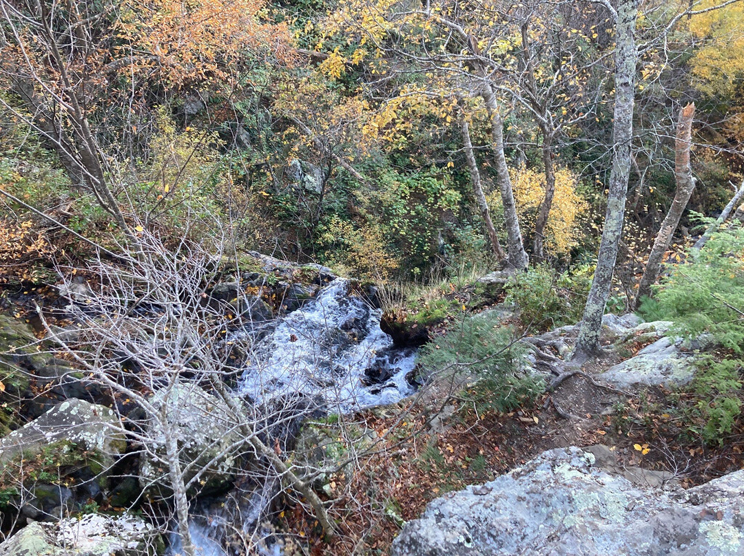 Lewis Falls Trail-雪兰多国家公园必去景点