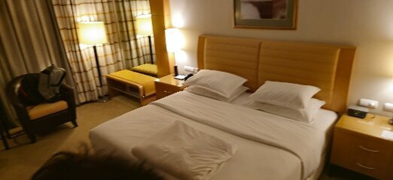 Lugal, A Luxury Collection Hotel, Ankara主图