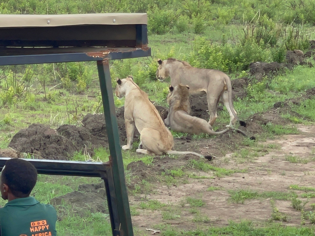 Tanzania Safari Trails Dmc Ltd-Dar es Salaam必去景点