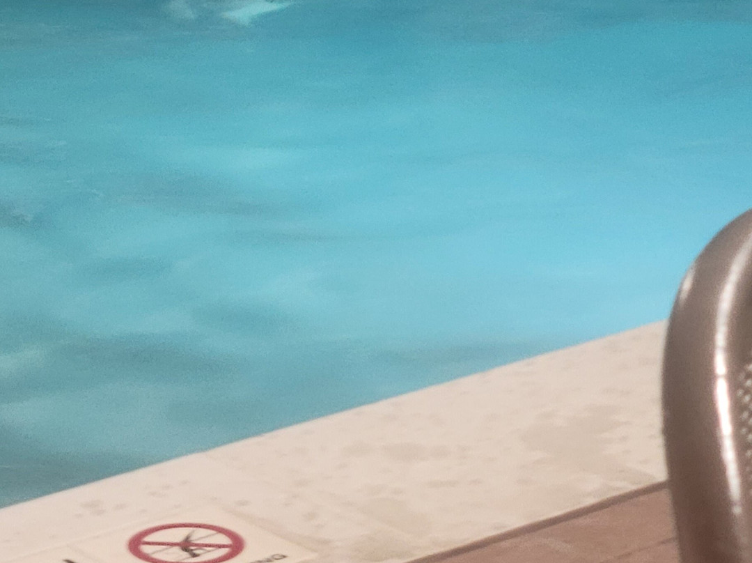 Drury Inn & Suites Evansville East主图