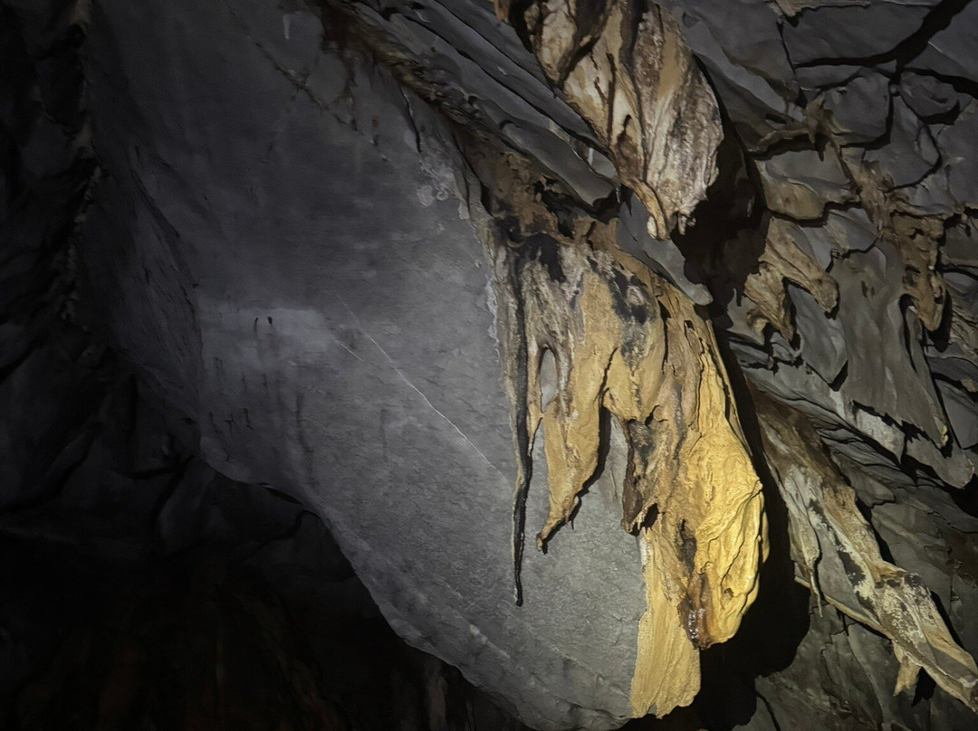 Puerto Princesa Underground River Day tour景点图片