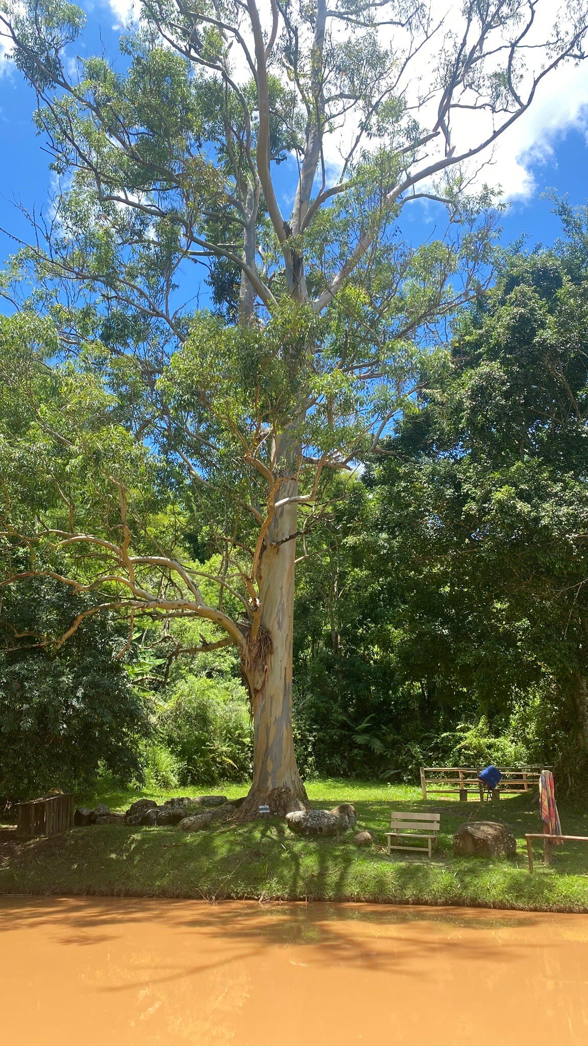 Pousada Araucaria-官方
