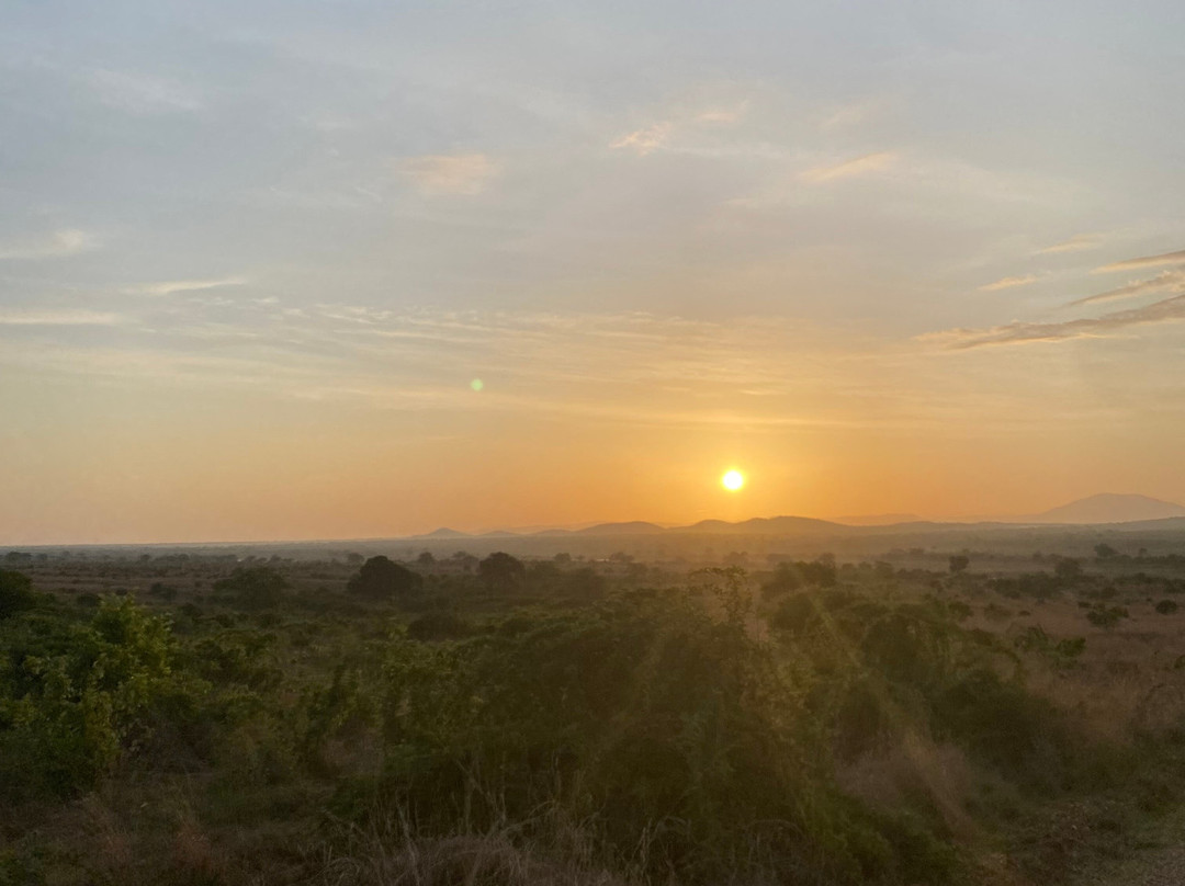 GREAT MINDS TOURS & SAFARI-Dar es Salaam必去景点