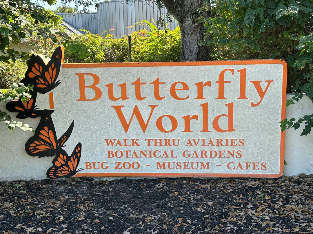 Butterfly World景点图片