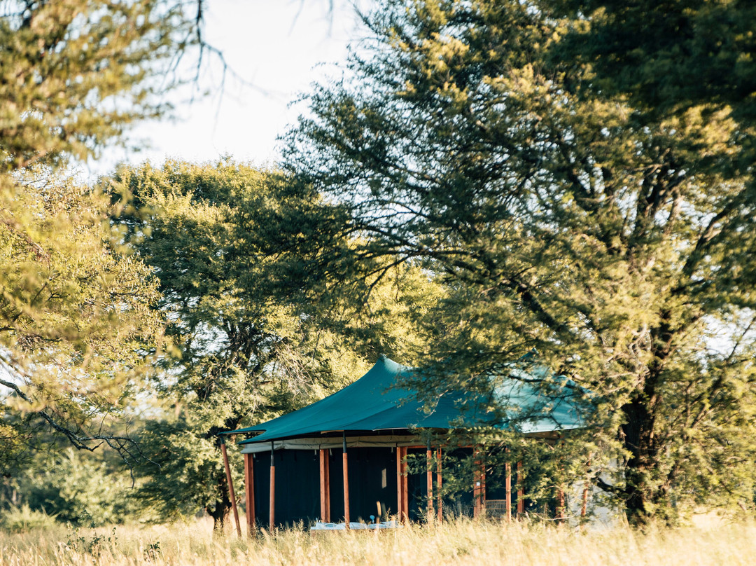 Misako Luxury Camps & Lodges主图