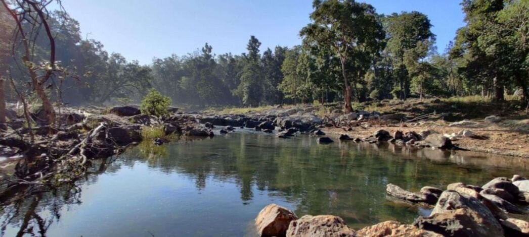 Kanha National Park景点图片