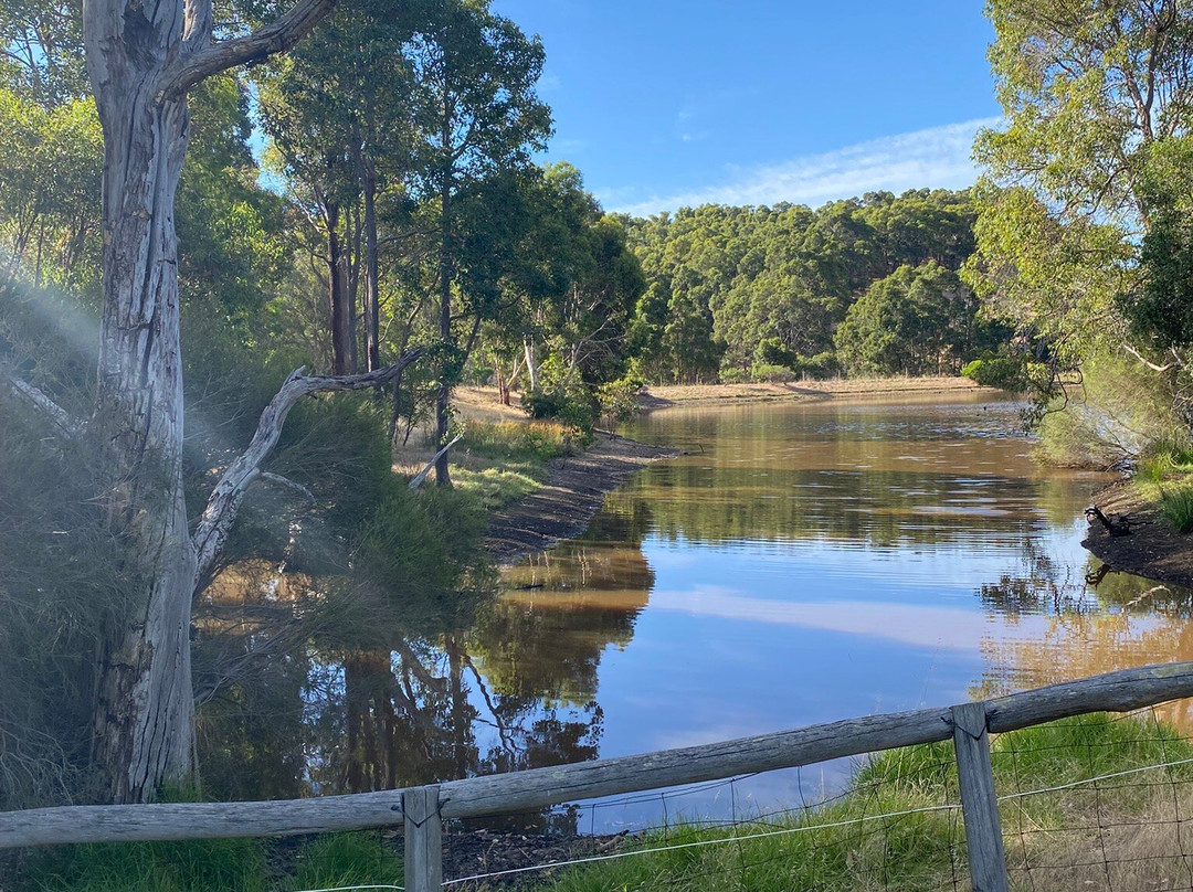 Henty Lodge Bed & Breakfast主图