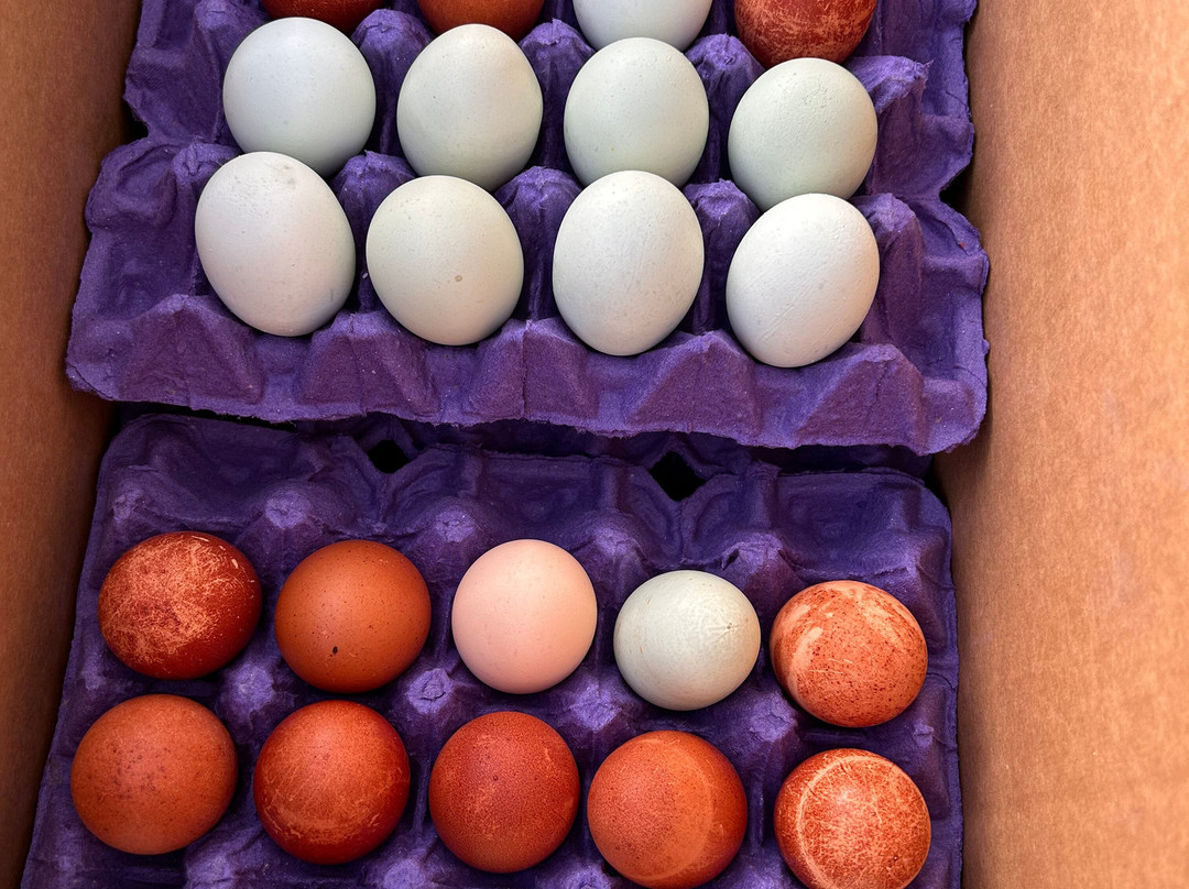 Orange Home Grown Farmers & Artisans Market-橘子郡必去景点