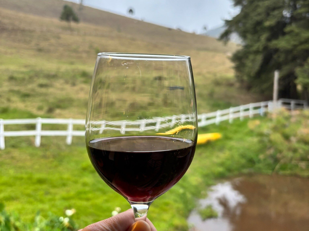 Pousada Vale Monte Azul主图