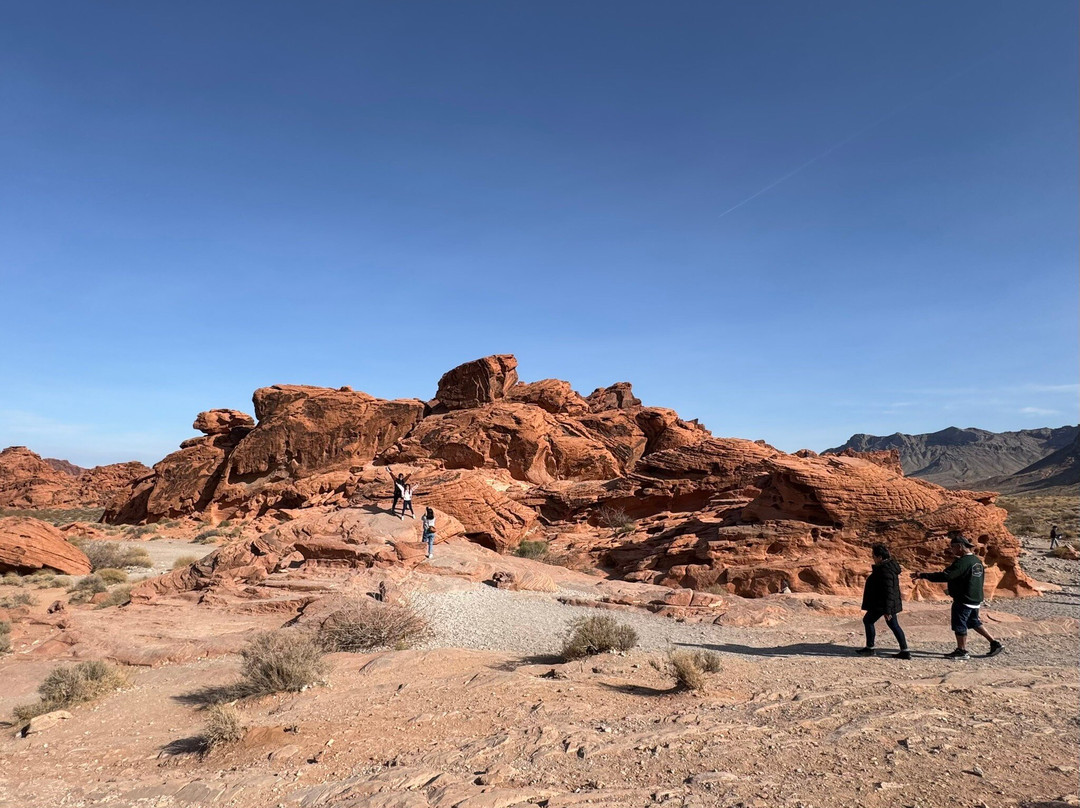 The Beehives-欧弗顿必去景点