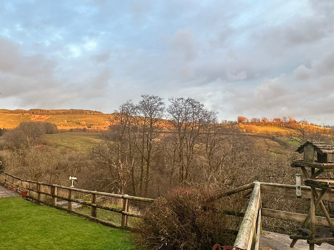 Llanerchindda Farm Guest House主图
