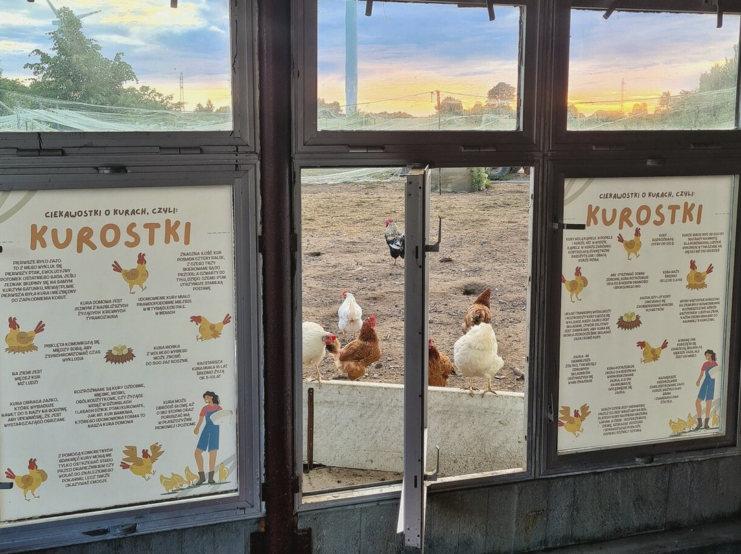 Agroturystyka Nowy Krakow主图