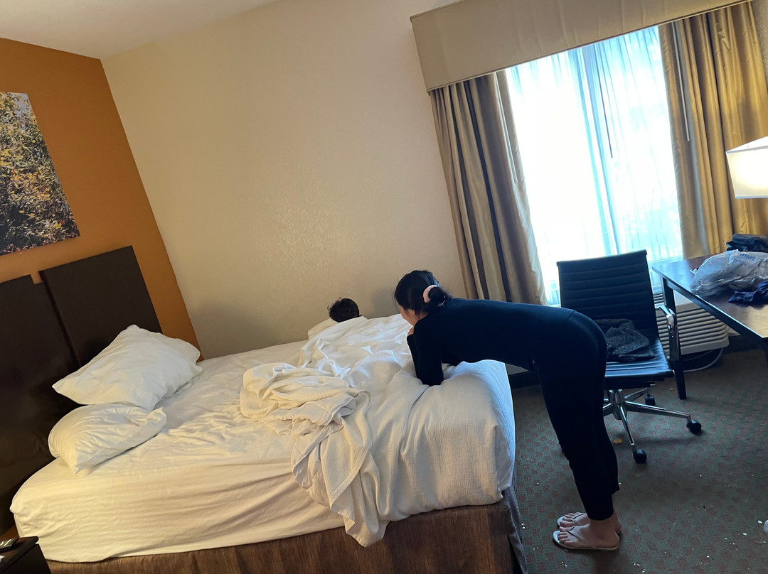 贝斯特韦斯特安提克套房酒店