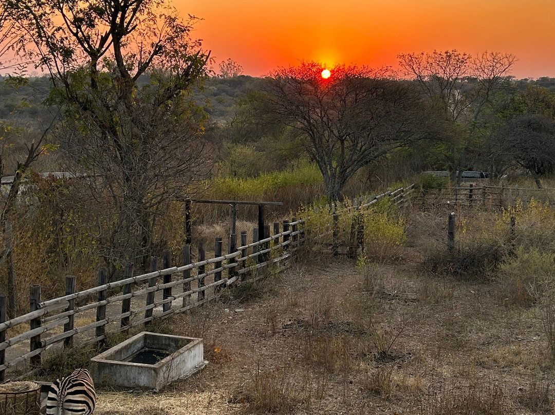 Chipangali Wildlife Orphanage and Research Centre景点图片