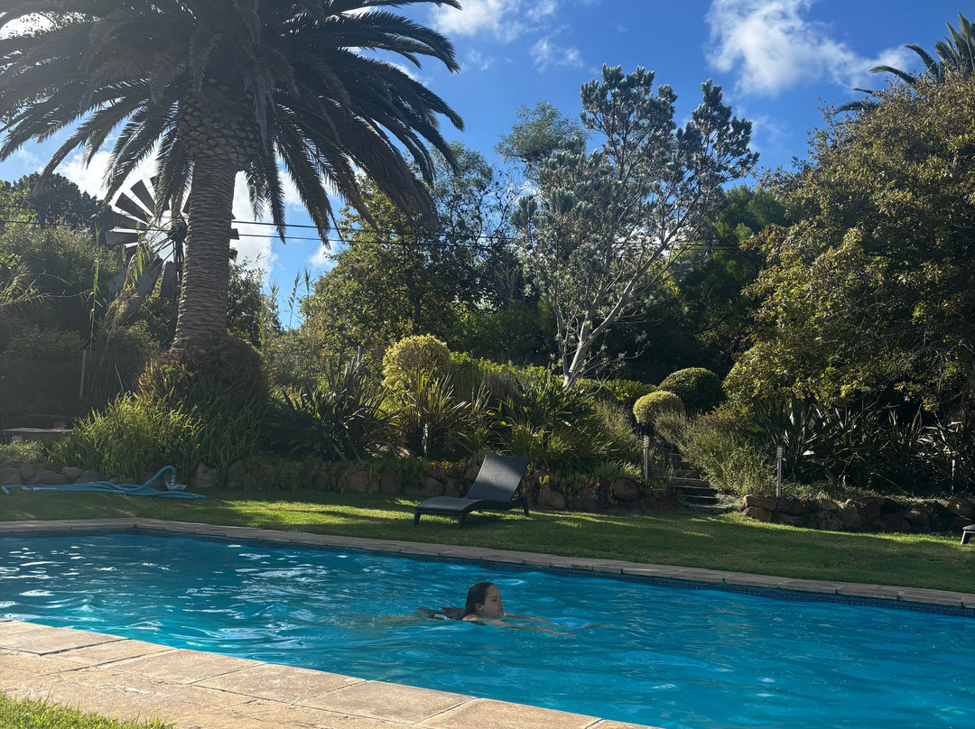 Nova Constantia Boutique Residence主图