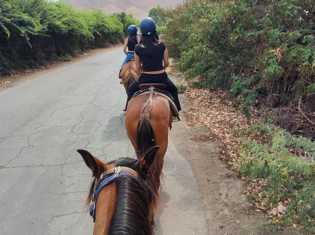 Cabalgatas-Santa Cruz de Flores必去景点