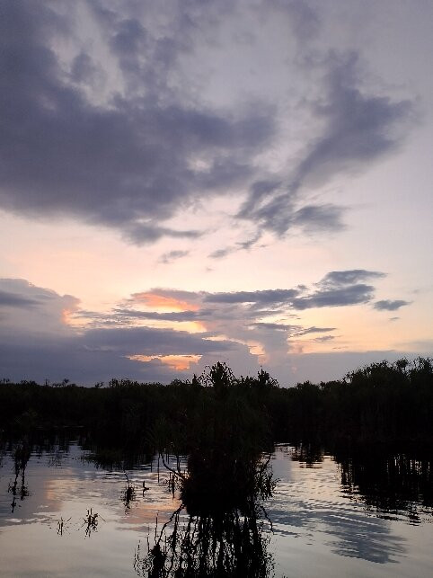 Kereng Bengkirai Pier-帕朗卡拉亚必去景点