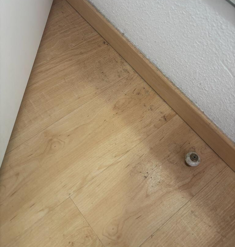 Résidence Odalys Les Chalets de Puy Saint Vincent主图