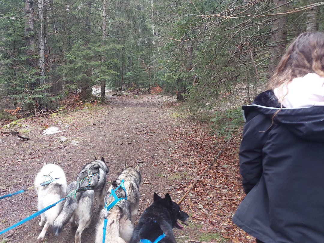 Les Extrapattes-Le Poet-Celard必去景点