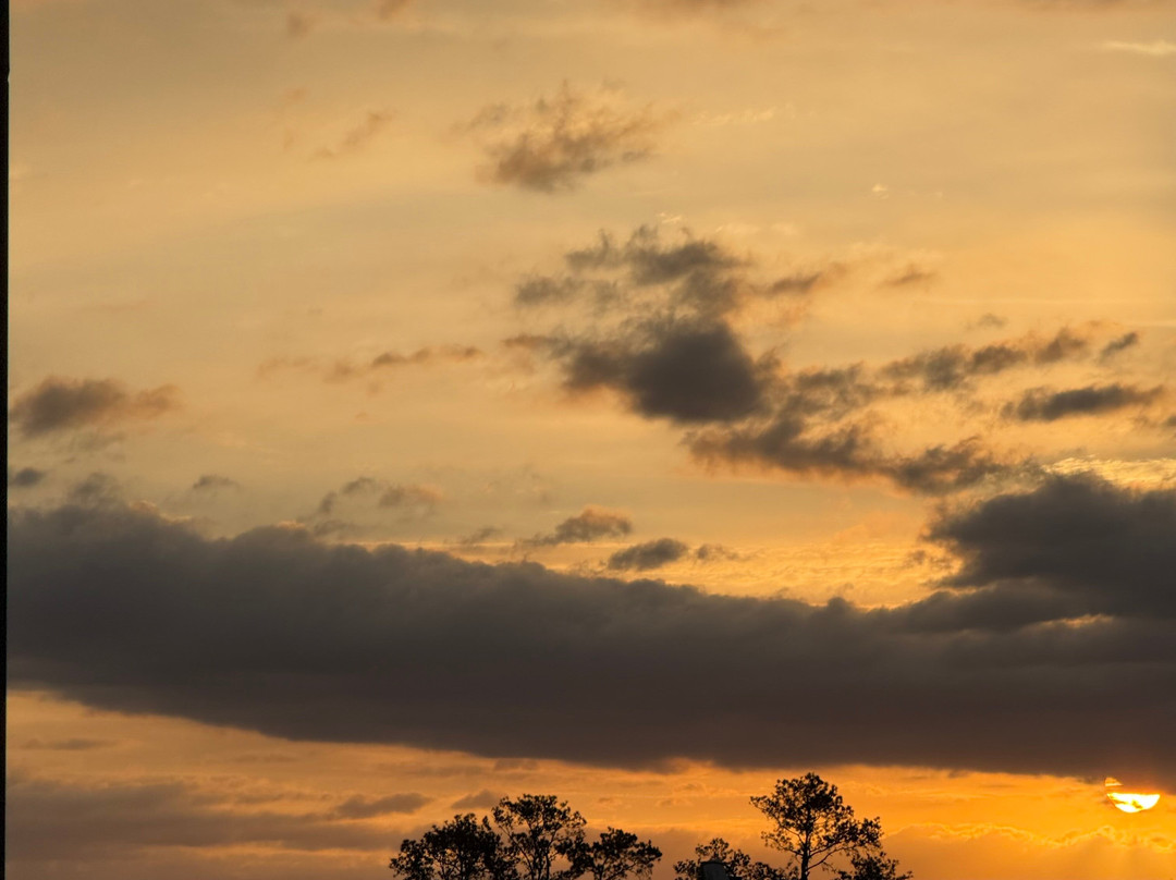 Hyatt Place Gainesville Downtown主图