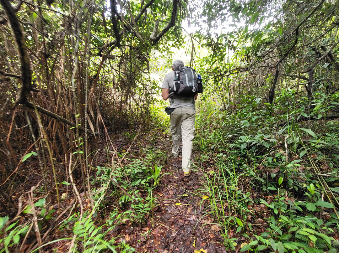 Gorges of Diosso-Pointe Noire必去景点
