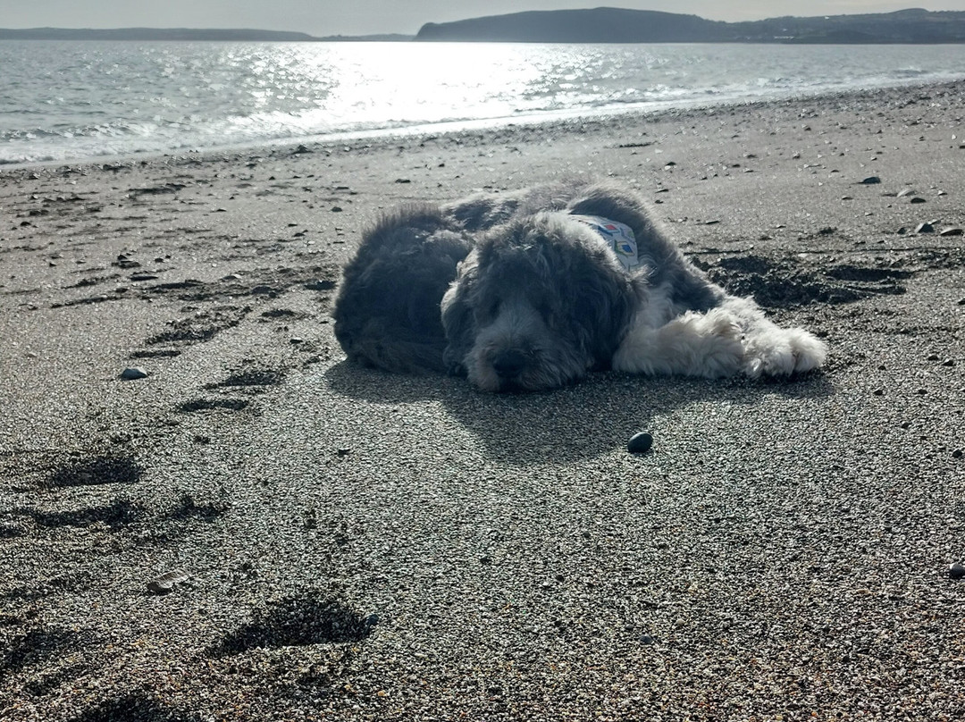 Pwllheli Beach景点图片