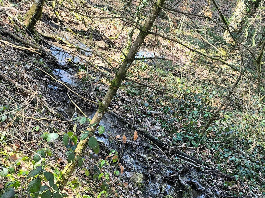 Parcours Santé De Choisy-Choisy必去景点