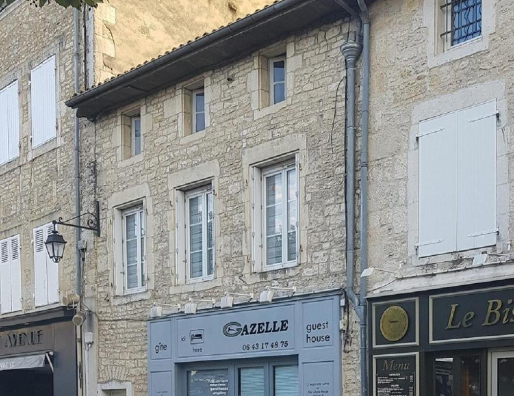 Gazelle Guest House and Art Gallery