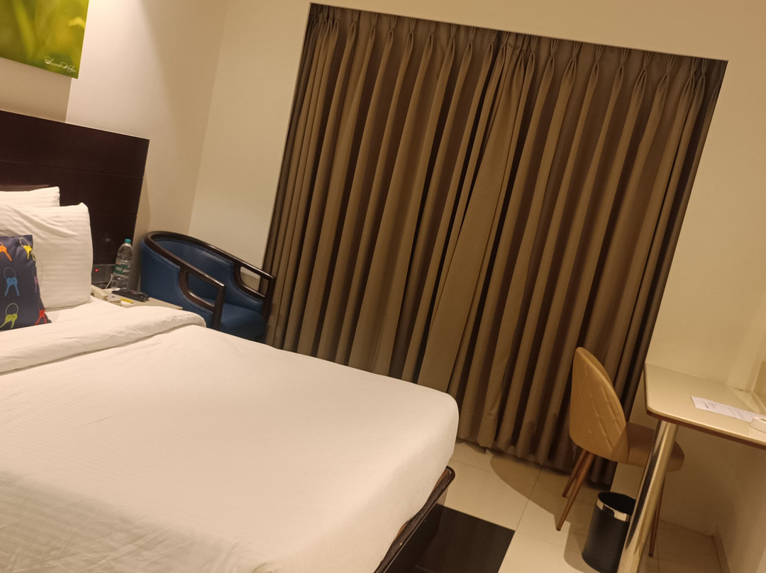 卢迪亚纳克斯酒店主图