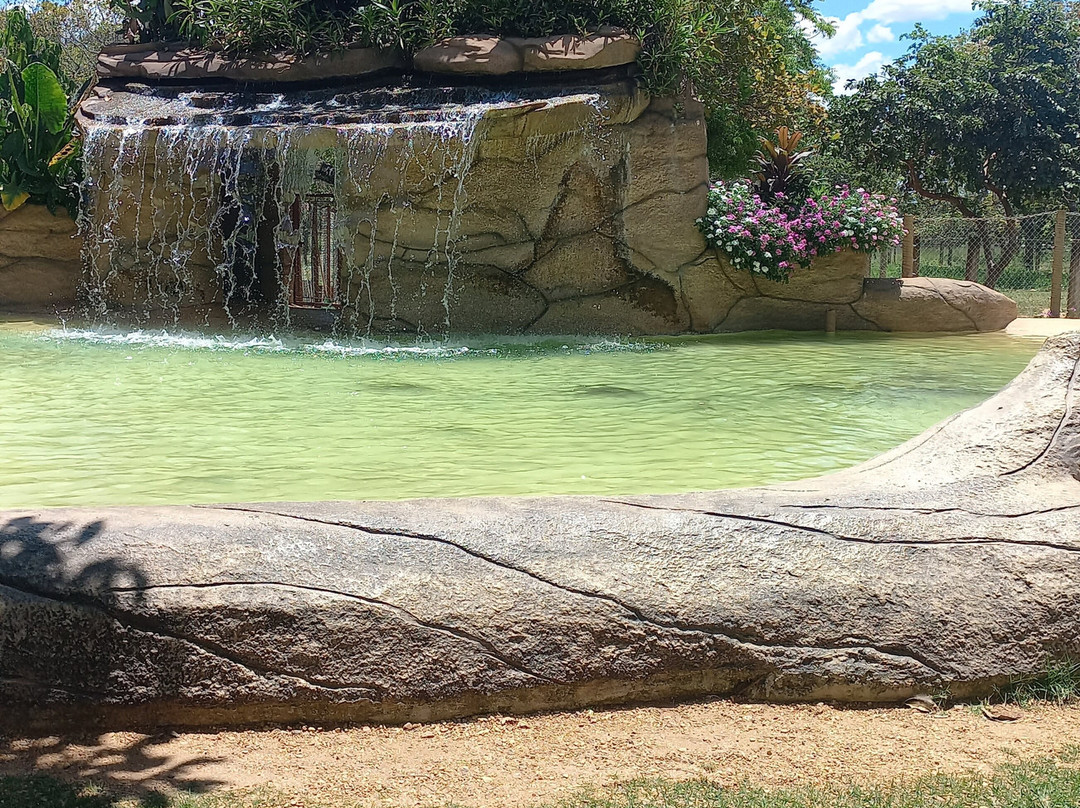 Jardim Japonês-Caldas Novas必去景点