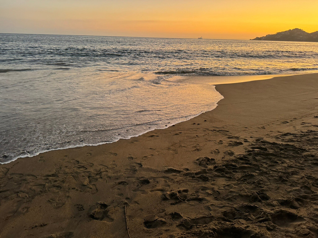 El Tortugario-Cuyutlan必去景点