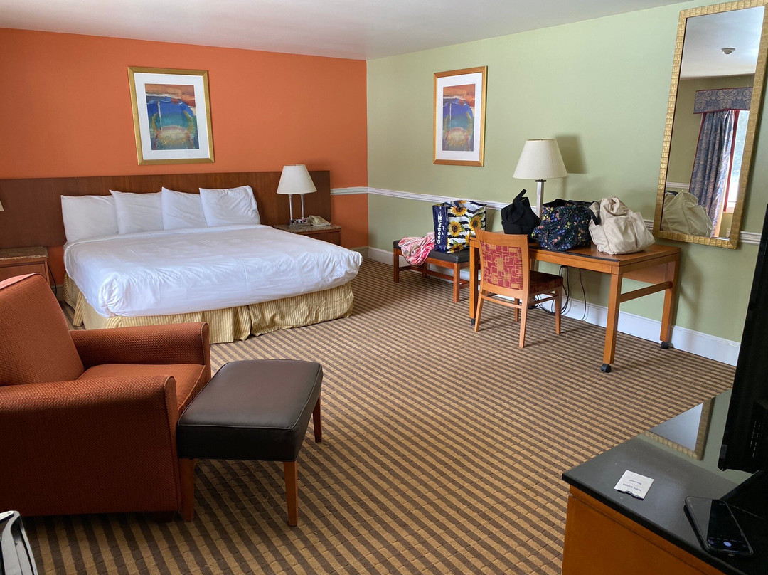 Colonial Motel and Spa主图