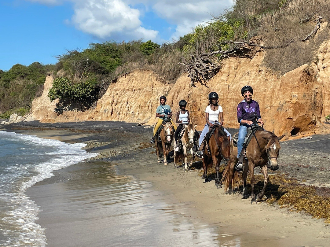 Esperanza Riding Company景点图片