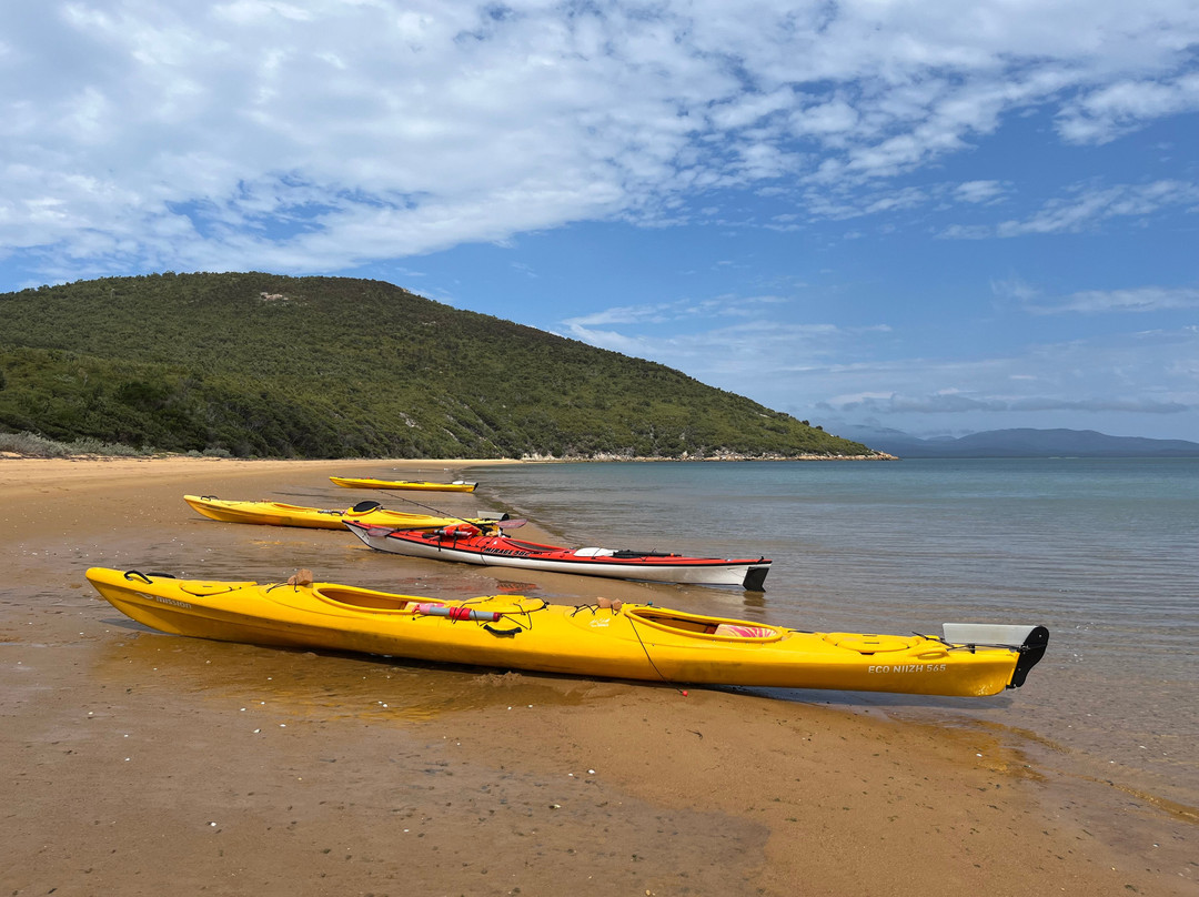 Sea Kayak Australia-Abbotsford必去景点