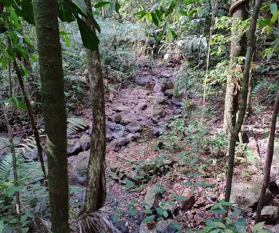 Termales del Bosque主图