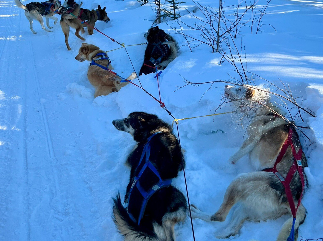 Rod's Alaskan Guide Service-费尔班克斯必去景点