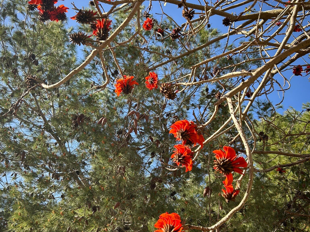 Ta’ Qali National Park-Attard必去景点