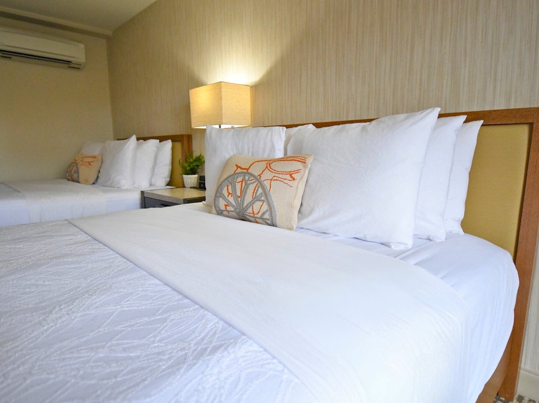 Spring Mill Inn主图