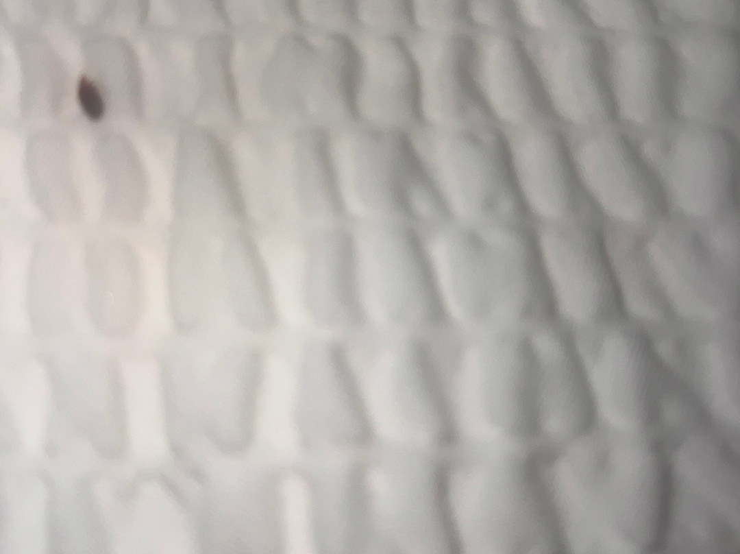 Revel Minot, SureStay Collection By Best Western主图