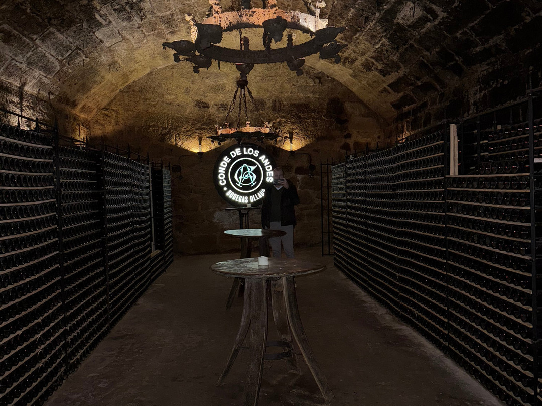 Bodega Conde de los Andes-Ollauri必去景点