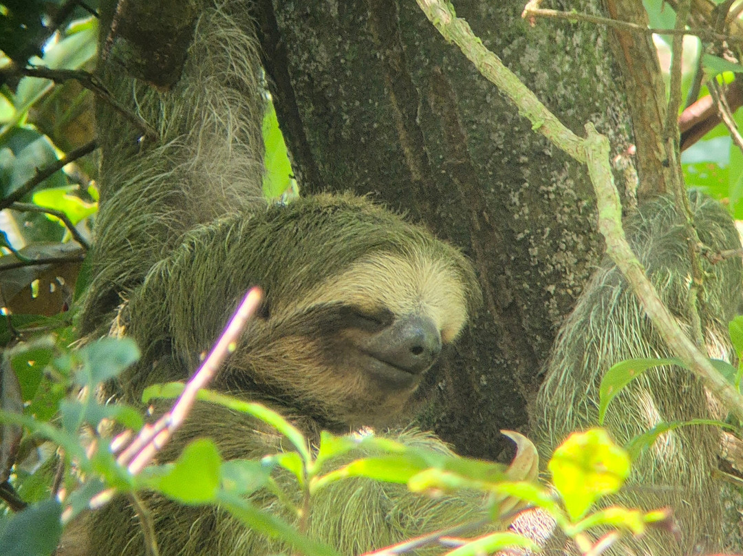Costa Rica Roots Tours-托图杰多必去景点