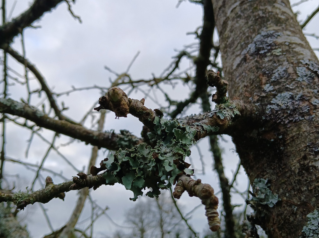 彭伯特布雷恩豪华住宿加早餐酒店主图