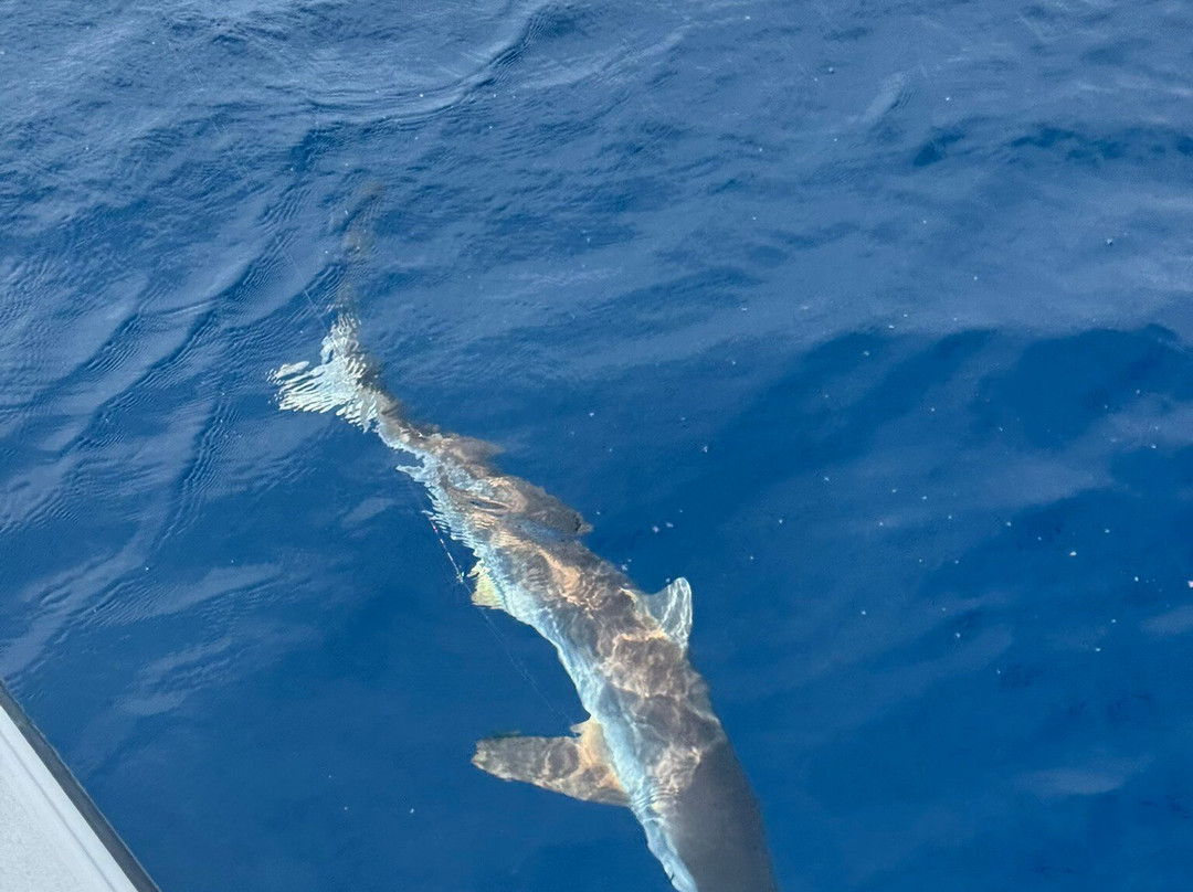 Dirty Boat-伊斯拉摩拉达必去景点