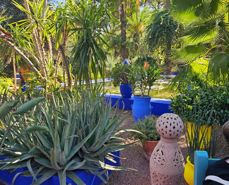 Marrakech Day Trips-马拉喀什必去景点